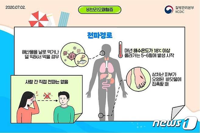 비브리오패혈증 감염 감염경로도.(여주시 제공) ⓒ News1