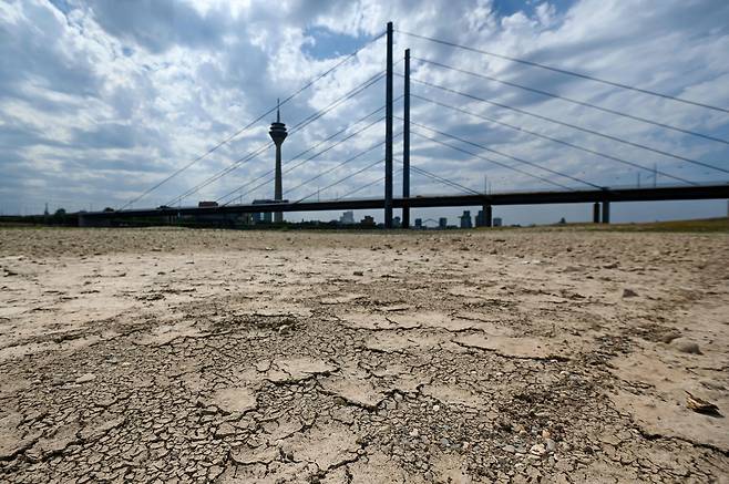 25일(현지 시각) 독일 서부 뒤셀도르프를 관통하는 라인강 일부 구간이 폭염으로 메마른 바닥을 드러냈다.