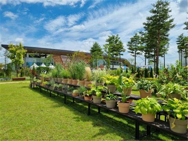 [대전=뉴시스] 국립세종수목원에서 진행된 '2022년 상반기 정원식물 전시·품평회'의 모습. *재판매 및 DB 금지
