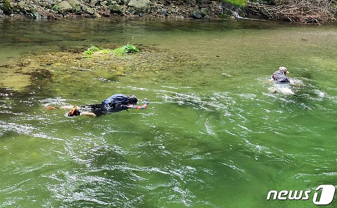 물살에 몸을 맡겨, 신나게 떠내려가는 물놀이 ⓒ 뉴스1