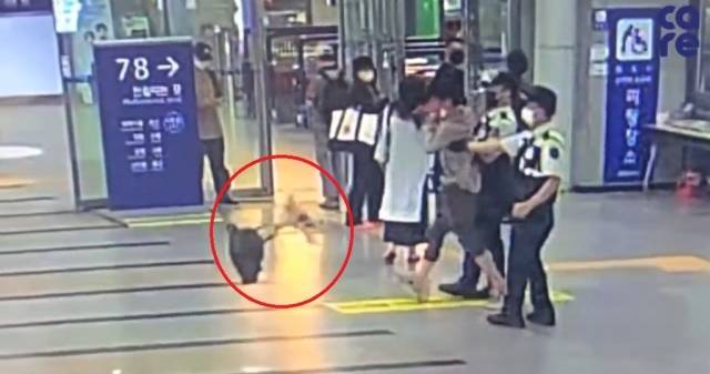 A씨가 강아지가 담긴 가방을 바닥으로 던지는 모습. 동물권 단체 케어 제공