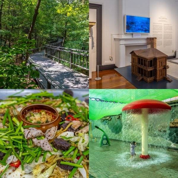 어린이나 어르신도 걸을 수 있는 낮은 경사도의 데크길로 조성한 관악산 무장애숲길의 순환형 숲길. 대한제국 시절 벨기에 영사관 
건물을 개조한 남서울미술관 1층의 상설전시장. 햇빛을 막는 대형 차광막을 설치해 마음 놓고 놀 수 있는 별빛내린천의 어린이 
물놀이장. 신림순대타운의 명물 백순대볶음. 다른 곳과 달리 고추장 양념을 넣지 않고 순대와 곱창, 채소를 들깨가루와 함께 볶는 
것이 특징이다.(왼쪽 위부터 시계방향). 사진제공｜서울관광재단