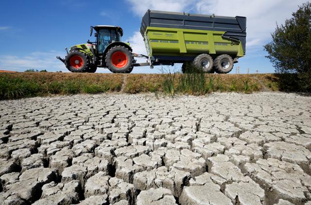극심한 가뭄이 프랑스를 강타한 가운데 8일 거북 등처럼 바닥이 갈라진 마레 브레통에서 한 농부가 트랙터를 몰고 지나고 있다. 마레 브레통=로이터 연합뉴스