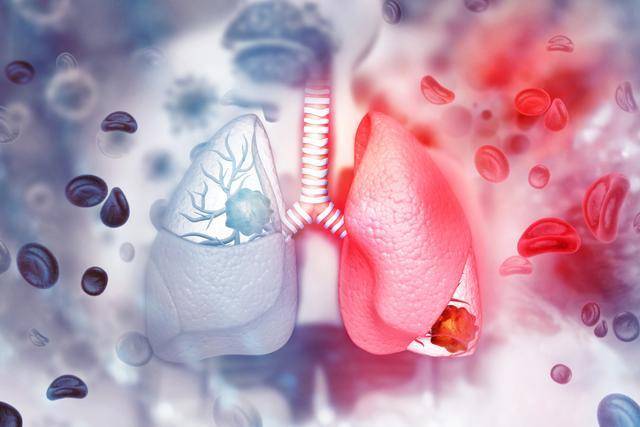 게티이미지뱅크