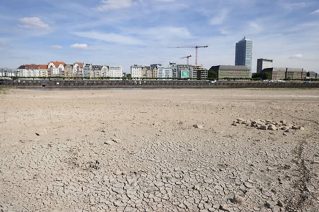 지난 2일(현지시간) 독일 서부 뒤셀도르프를 지나는 라인강 일부 구간이 메말라 바닥을 드러냈다. 게티이미지