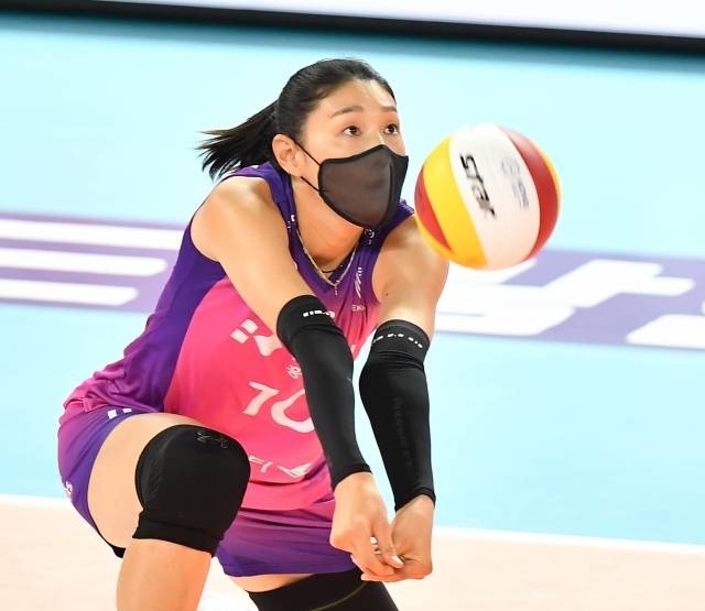 한국배구연맹 제공