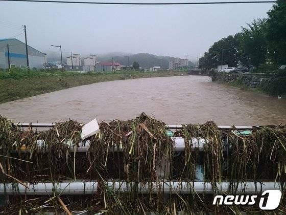 충남 부여군 은산면 은산천 하류 모습. /사진=뉴스1