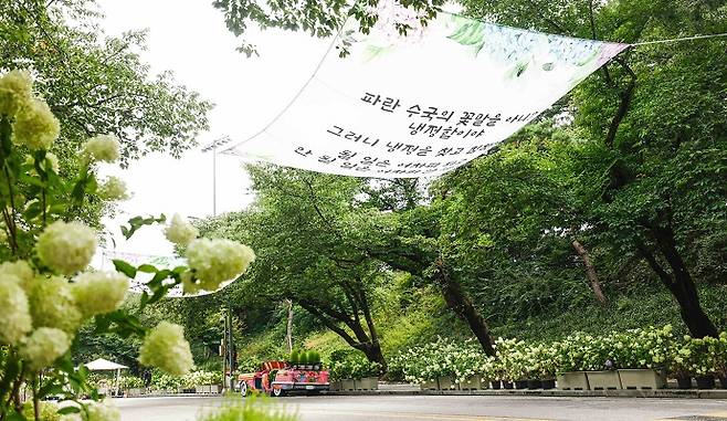 서울경마공원 내 금동마상부터 약 1㎞간 이어지는 거리가 수국행사 공간으로 조성된다.
