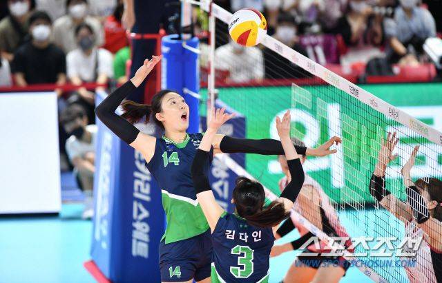 현대건설 양효진이 14일 전남 순천 팔마체육관에서 열린 순천·도드람컵 프로배구 대회 여자부 B조 조별예선에서 KGC인삼공사를 상대로 스파이크를 날리고 있다. /KOVO