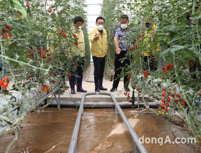 이성희 농협중앙회장(가운데)과 김명기 횡성군수(왼쪽)는 14일 강원 횡성군 소재 토마토 시설하우스 농장을 방문해 집중호우 피해상황을 점검하고 농업인 지원방안을 강구하고 있다. 농협 제공