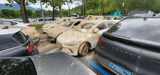 15일 경기도 과천시 서울대공원에 주차된 침수 차량. 오른쪽은 제네시스의 전기차 GV60. 김민상 기자