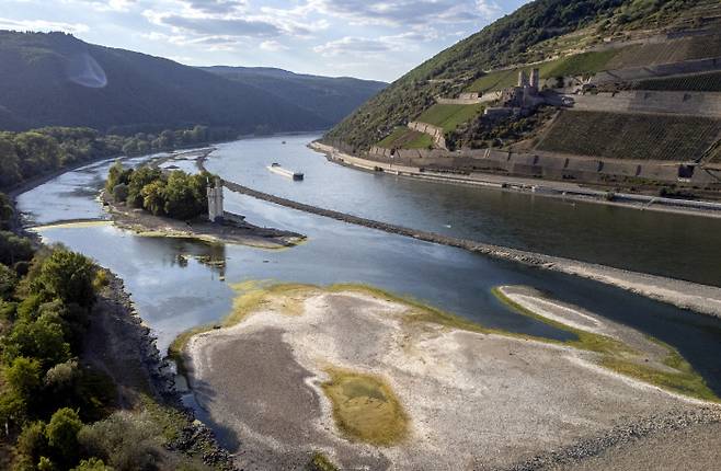 500년 만의 유럽 최악의 가뭄으로 지난 12일 독일 빙엔 지역의 라인강 일부가 바닥을 드러내고 있다. AP연합뉴스