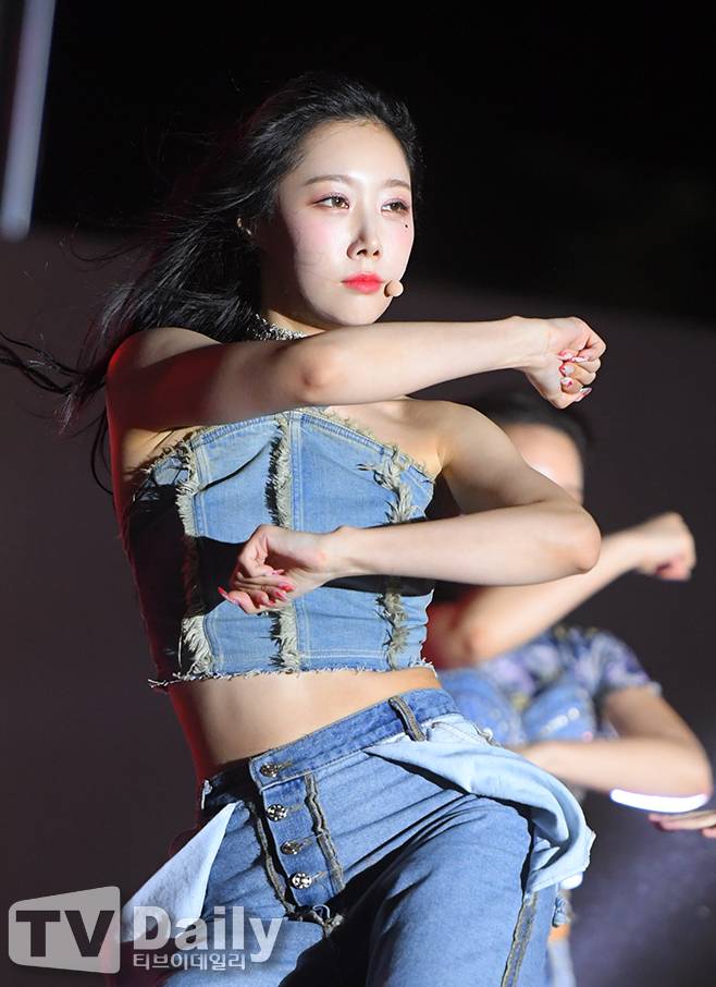 티브이데일리 포토