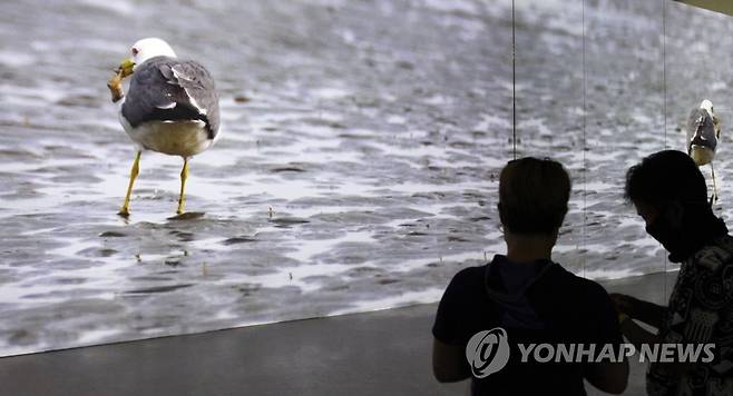 보령해양머드박람회장 찾은 관람객들 [연합뉴스 자료사진]