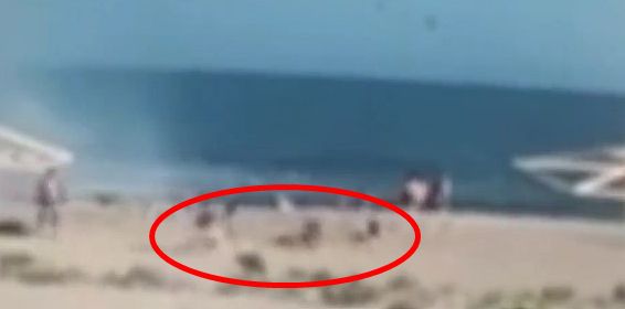 오데사 바닷가에서 유실 지뢰로 추정되는 물체가 폭발하자 주변에 있던 사람들이 혼비백산 달아나고 있다. 일부는 발을 헛디뎌 모래사장에 나뒹굴었다. /트위터