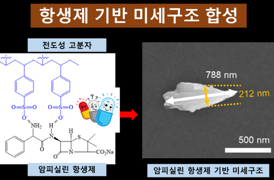 전도성 고분자와 항생제 혼합 미세구조. 사진=한국연구재단 제공