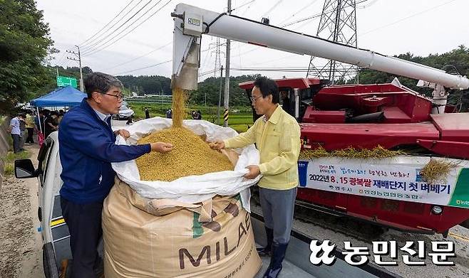 손기을 안정농협 조합장(왼쪽)과 박남서 영주시장이 수확한 ‘진옥벼’를 보고 있다.