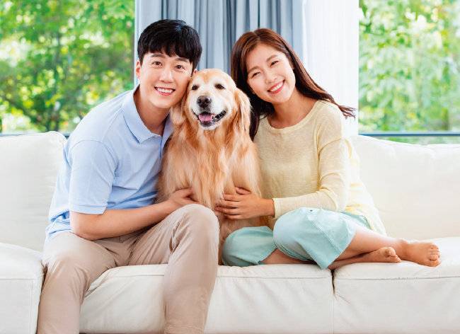 반려동물을 키우는 가족이 늘면서 관련 직종에 대한 관심도 높아졌다. [GETTYIMAGES]