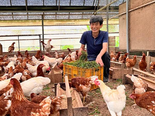 김태현 대표는 자신이 직접 재배하거나 채취한 풀을 닭에게 매일 급여한다. / 주미영 작가