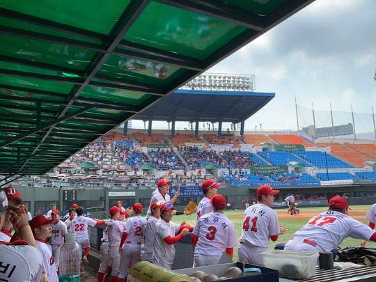 17일 서울 목동 구장에서 제56회 대통령배 전국고교야구대회 결승전에서 대전고 선수들이 열띤 응원을 펼치고 있다. 사진=김소현 기자