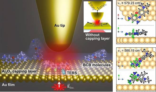 탐침증강 나노현미경을 이용해 금과 산화알루미늄 층 사이에 갇힌 분자를 시각화한 모습. UNIST 제공