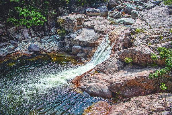 활짝 핀 연꽃을 닮은 연화담.