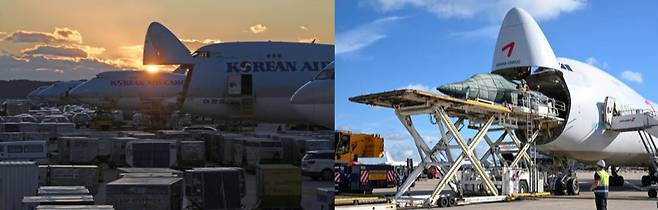 [사진 출처: 대한항공, 아시아나항공]