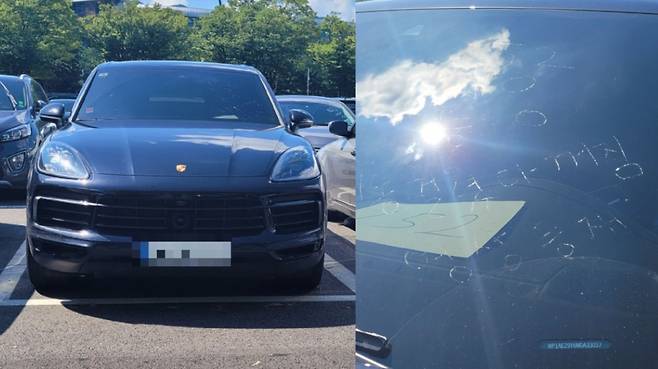 16일 오후 2시쯤. 경기도 과천시 서울대공원에 적치된 침수차량./사진=김도균 기자