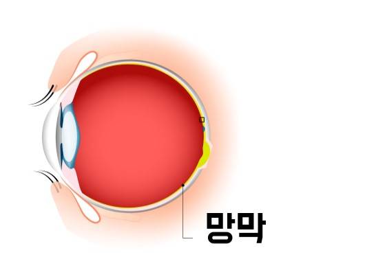 출처: 게티 이미지뱅크