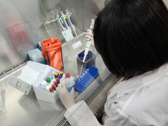 충북보건환경연구원, 가임기 여성 풍진검사.