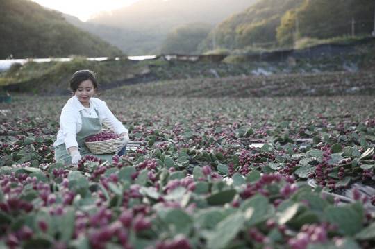천년초 사랑이 묻어나는 김지혜씨.