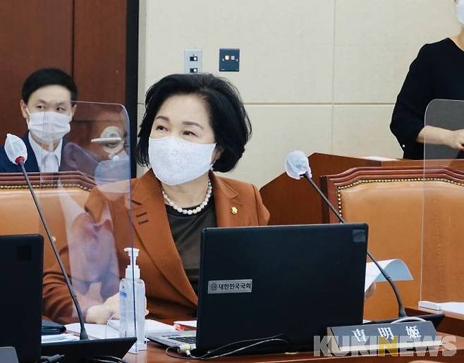 조명희 국민의힘 의원.&nbsp; &nbsp;사진=쿠키뉴스 DB