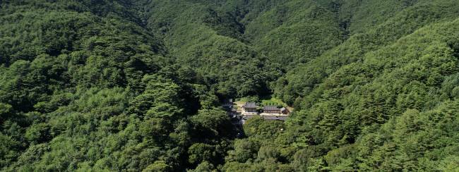 각화산 아래 거대한 초록의 숲 한가운데 자리 잡은 절집 각화사. 각화사는 조선왕조실록을 보관하던 태백산 사고의 수호사찰이었다. 절집 뒤쪽의 원시림에 가까운 숲으로 들어 이정표 하나 없는 가파른 산길 너머에 태백산 사고 터가 있다.