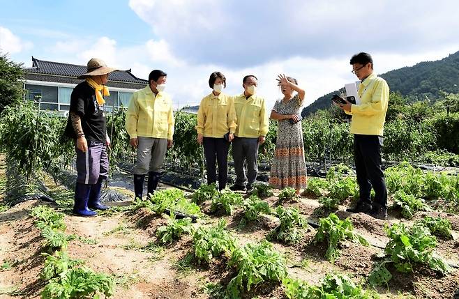 18일 김명기 횡성군수(왼쪽에서 두번째)가 둔내면 우박 피해 농가를 찾아 피해 상황을 점검하고 있다. *재판매 및 DB 금지