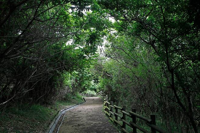 영광 상낙월도 재계미해변 위쪽 둘레길. 사진제공|박상준