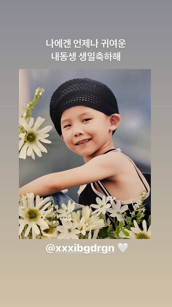 /사진=권다미 인스타그램