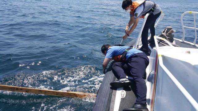 목재 수거하는 포항해경 [포항해양경찰서 제공. 재판매 및 DB 금지]