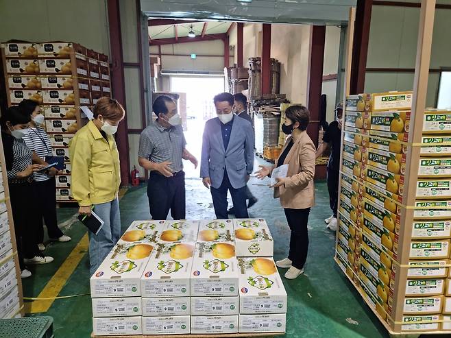 이상철 곡성군수, 배 수출 현장 점검 [곡성군 제공. 재판매 및 DB 금지]