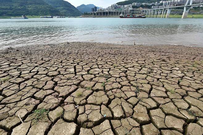 2022년 8월 16일 중국 남서부 충칭시 창장강 유역이 가뭄으로 바닥이 드러났다. /AFP 연합