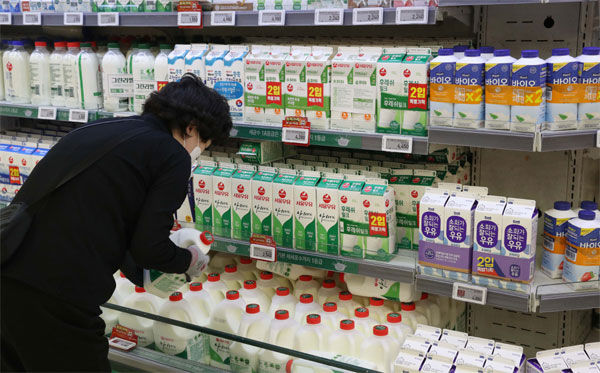 한 대형마트에서 소비자가 우유를 고르고 있다. [이승환 기자]