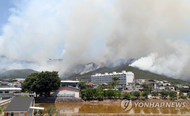 지난 5월 31일 오후 경남 밀양시 부북면 춘화리에서 발생한 산불이 바람을 타고 확산하고 있다. 산림청은 산불 3단계를 발령했다.[사진 = 연합뉴스]