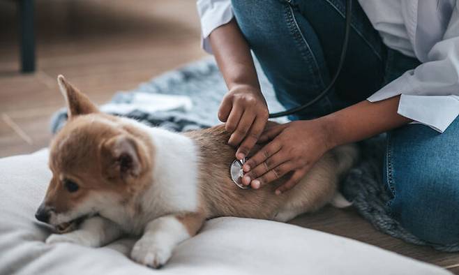 사진=게티이미지뱅크