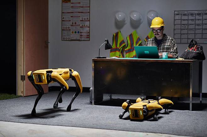 현대차그룹이 인수한 보스턴 다이내믹스의 4족 보행 로봇 ‘스팟’. 현대차 제공