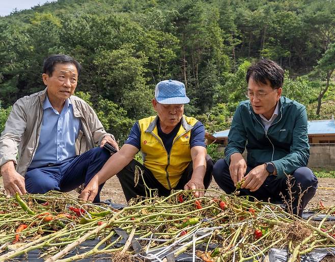 22일 손병환 농협금융지주 회장(오른쪽)이 충남 청양군을 방문해 폭우피해를 입은 농업인을 위로하고 피해현장 점검에 나서고 있다. *재판매 및 DB 금지