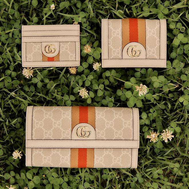 사진 : 구찌(Gucci), Credits. 이미지 & 비디오. 크리에이티브 디렉터: 알레산드로 미켈레(Alessandro Michele), 아트 디렉터: 한다솜(Dasom Han), 디렉터: 이행갑(Hanggab Lee), 포토그래퍼: 박배(PAKBAE), 스타일리스트: 정환욱(Fwanwook Jung)