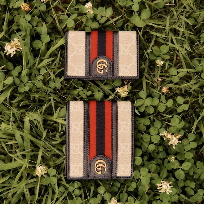 사진 : 구찌(Gucci), Credits. 이미지 & 비디오. 크리에이티브 디렉터: 알레산드로 미켈레(Alessandro Michele), 아트 디렉터: 한다솜(Dasom Han), 디렉터: 이행갑(Hanggab Lee), 포토그래퍼: 박배(PAKBAE), 스타일리스트: 정환욱(Fwanwook Jung)