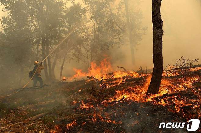 미국 캘리포니아주에서 이어진 폭염으로 인해 곳곳에서 산불 피해가 이어지고 있다. ⓒ AFP=뉴스1 ⓒ News1 박기현 기자