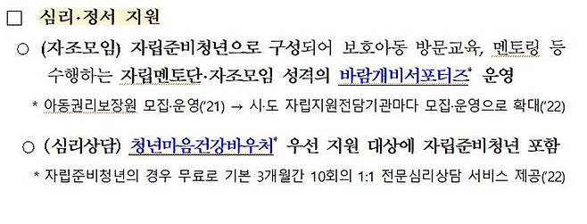보건복지부가 지난 23일 배포한 보도설명자료. '분야별 주요 자립지원 정책 현황' 중 심리·정서 지원책을 설명하고 있다. *재판매 및 DB 금지