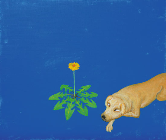<강아지똥 할아버지> 장주식 글, 최석운 그림, 사계절 펴냄