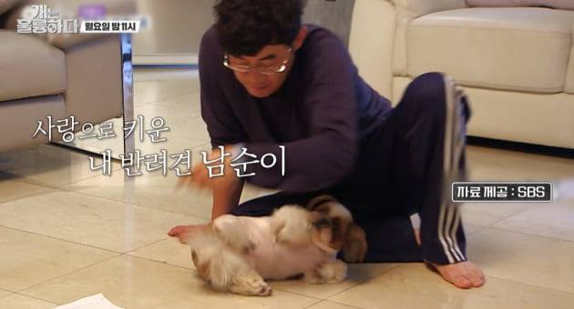 The Dogs flagship star Lee Kyung-kyu lost Family: Pet Namsuni, who met on the air and had an extraordinary heart.Lee Kyung-kyu calmly told the news that he had crossed a rainbow bridge during filming, but was forced to grieve.KBS2 The dog is excellent The production team sent Lee Kyung-kyu, who heard the news of Pets death during the recording, first to the pre-release video.Lee Kyung-kyu received a call during the recording that Namsuni had crossed a rainbow bridge.Though he calmly reported the breakup, Lee Kyung-kyus expression was heartbreaking: Jang Do-yeon comforted Lee Kyung-kyu and said, Its OK, it was a hosang.I lived in fun, he said, and continued the recording.Lee Kyung-kyu and Namsuni met on KBS2 Mans Qualification in 2010.Lee Kyung-kyu and Namsuni first met on the abandoned dog temporary protection side.Im originally a dog-loving person, Lee Kyung-kyu said, adopting, I wanted to (adopt) from the first time I saw it.Lee Kyung-kyu gave the new name directly Namsuni.As a new member of Lee Kyung-kyus family, Namsuni has been loved by Family, and has consistently posted on social media for fans who are curious about the recent situation of Namsuni.Lee Kyung-kyu tweeted: Its Namsuni who just met me in the south-facing area and lives with me!I am doing well without completely covering my urine. After creating an Instagram account in 2016, he posted a picture of Namsuni and wrote a message on Namsuni, saying, I forget about my old difficult times and live comfortably.In SBS Healing Camp, he also showed his unusual affection for Namsuni. He revealed his healthier and cuteer Namsuni, saying, Long term is shit.Lee Yoon-seok, who had an abandoned dog temporary protection at the time, was surprised by Lee Kyung-kyus warm.I was surprised by the appearance of Namsuni, who was more fat and healthy at the time of the broadcast. Sung-yuri was also impressed by Did you have this aspect?Lee Kyung-kyu has since become a model, with a campaign to encourage abandoned dog adoption.Lee Kyung-kyu said: Ive seen so many abandoned dogs around.I now have abandoned dog, said Namsuni, a dog I raise at home. A hundred thousand are abandoned a year.It will be 200,000 if you add up what you can not get in the statistics. Lee Kyung-kyu has left Pet, who has grown into love for more than a decade, thinking pets are Family.It is not just a relationship between a dog and a master, but a relationship that loves unconditionally as a pair of life.Many stars, including Lee Hyo-ri, left their pets, which they loved like their lives, and shared their sadness with their fans.A long-time viewer and dog-god watched Lee Kyung-kyu read the sadness from him, who bluntly spoke of Namsunis death.The sadness of dog dad is short and I hope that only happy memories with Namsuni will be left.